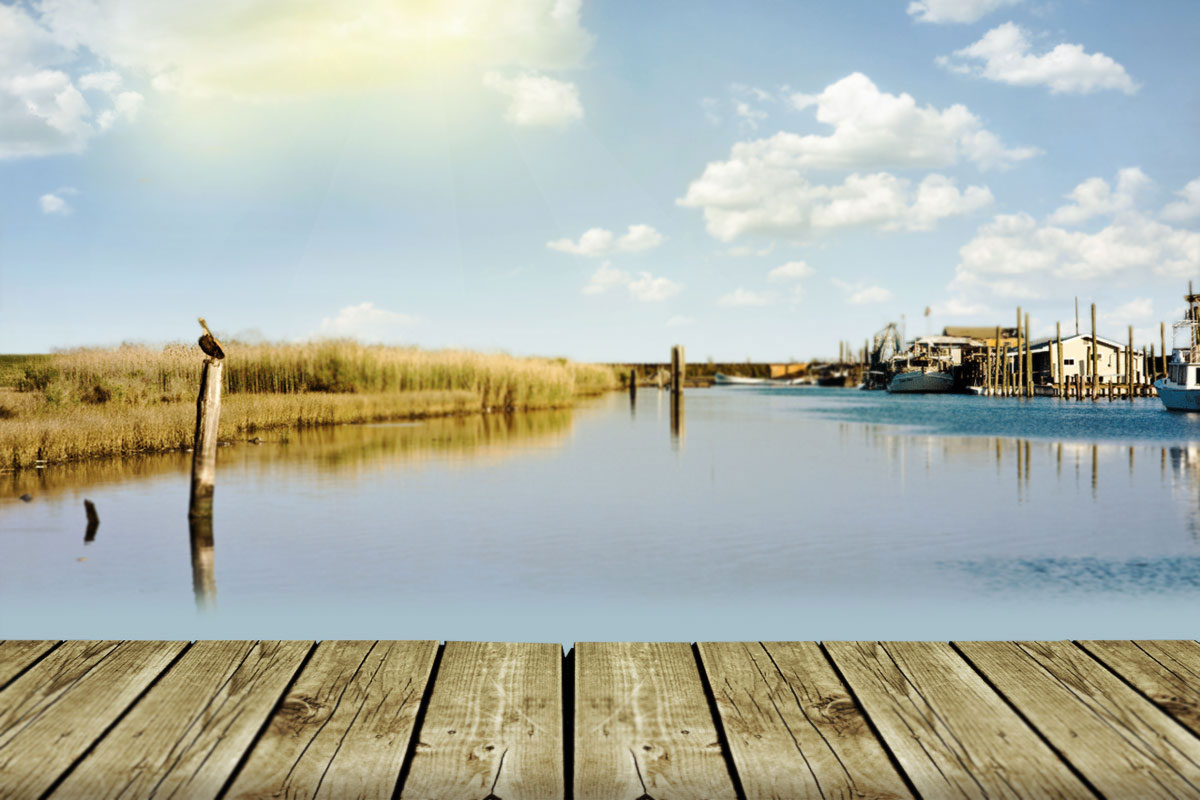 P & J Oyster Company All Natural Louisiana Oysters Since 1876